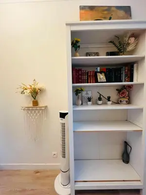 Bibliothèque dans l'appartement