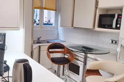 Cuisine ou kitchenette dans l'établissement Appartement cosy à Paris (Trocadéro) - 60 m² - ParkingEL
