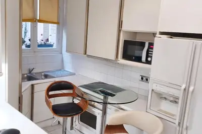 Cuisine ou kitchenette dans l'établissement Appartement cosy à Paris (Trocadéro) - 60 m² - ParkingEL