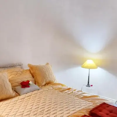 Appartement cosy à Paris (Trocadéro) - 60 m² - ParkingEL