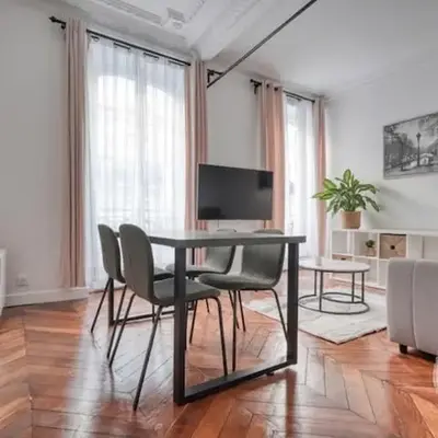 Luxury Parisian Flat