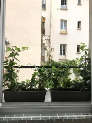 Plan de l'établissement Cosy Studio !!!