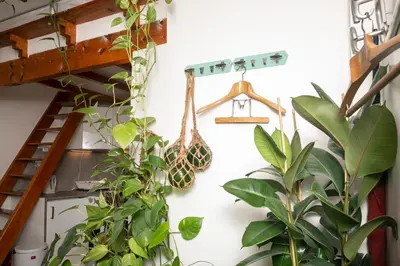 Plan de l'établissement Cosy Studio !!!