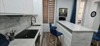 Cuisine ou kitchenette dans l'établissement Appartement très lumineux porte de Saint-Cloud - F3 avec suite parentale