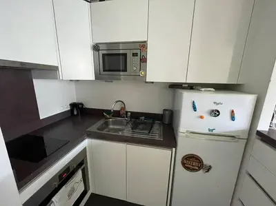 Cuisine ou kitchenette dans l'établissement Cosy apart with balcony Eiffel Tower view