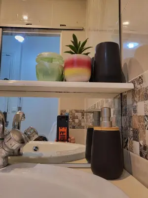 Plan de l'établissement Paris flat