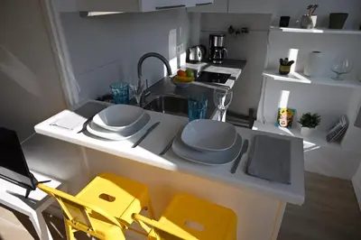Cuisine ou kitchenette dans l'établissement Cosy Studio