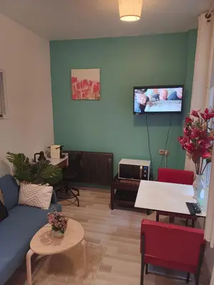 Télévision ou salle de divertissement dans l'établissement Home Cosy ARENA Porte de la Chapelle