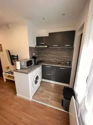 Cuisine ou kitchenette dans l'établissement Arcueil 2P Moderne Proche RER B