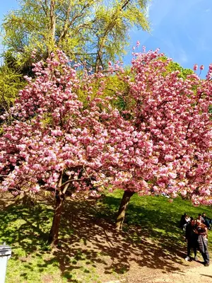 Jardin de l'établissement Love Nest In Paris