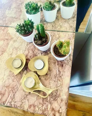 Nourriture dans l'appartement ou à proximité