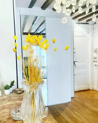 Plan de l'établissement Electra mini-studio