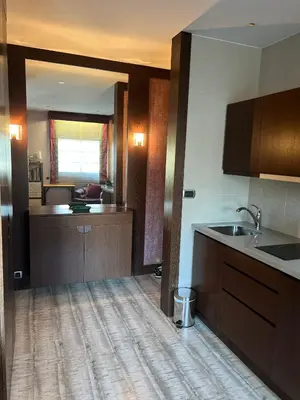 Cuisine ou kitchenette dans l'établissement Studio dans le quartier luxe