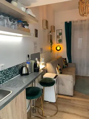 Cuisine ou kitchenette dans l'établissement Paris studio cosy climatisé
