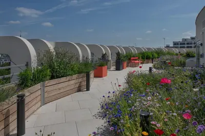 Jardin de l'établissement Domitys L'Ellipse