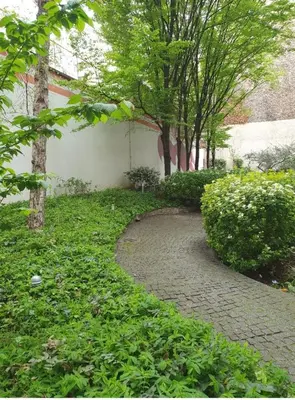Jardin de l'établissement Studio Cosy Paris centre alesia