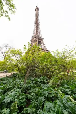 Lieu d'intérêt à proximité de l'appartement