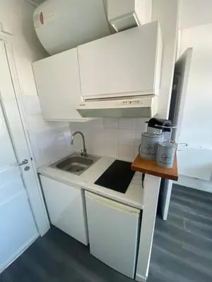Cuisine ou kitchenette dans l'établissement Studio la griotte